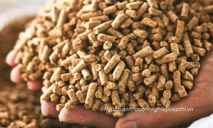 33 thông báo SPS mới, nhiều quy định đáng chú ý với hàng xuất khẩu