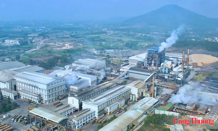 Gia Lai chấp thuận đầu tư dự án Nhà máy Ethanol An Khê 1.741 tỷ đồng