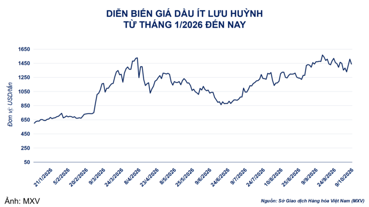 Giá đậu tương kỳ hạn tháng 11 tăng 1,1%, lên 474,7 USD/tấn