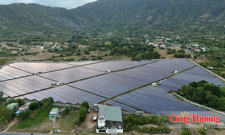 Phát triển điện mặt trời trong nông nghiệp: Bài học từ châu Âu