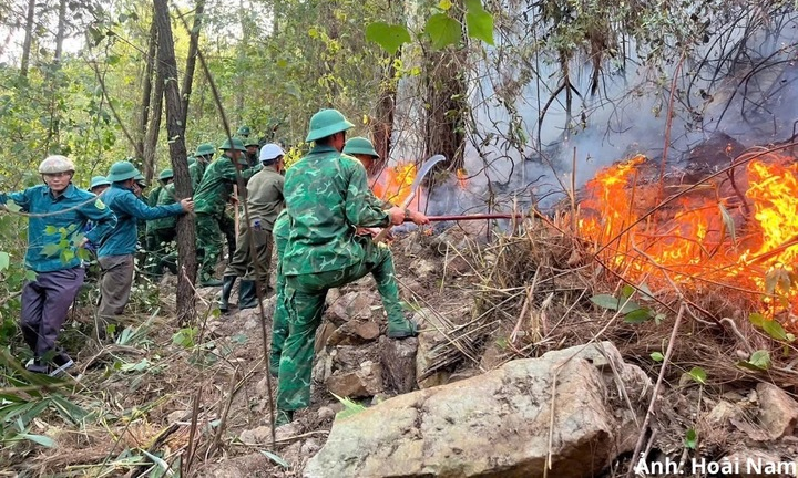 Đừng đốt thực bì, hãy biến cành cây thành năng lượng xanh