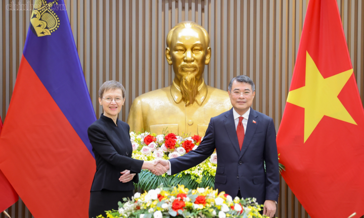 Thủ tướng Lê Minh Hưng hội đàm với Thủ tướng Liechtenstein