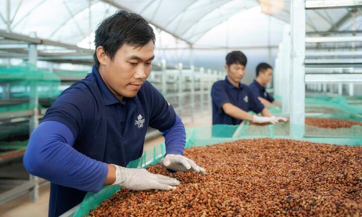 Thương hiệu quốc gia: 'Bệ phóng' cho hàng Việt vươn xa