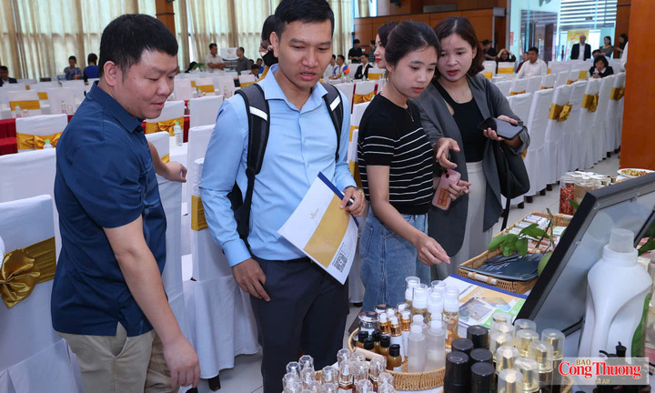 Thực thi VIFTA: Đưa ưu đãi thương mại đến gần hơn với doanh nghiệp