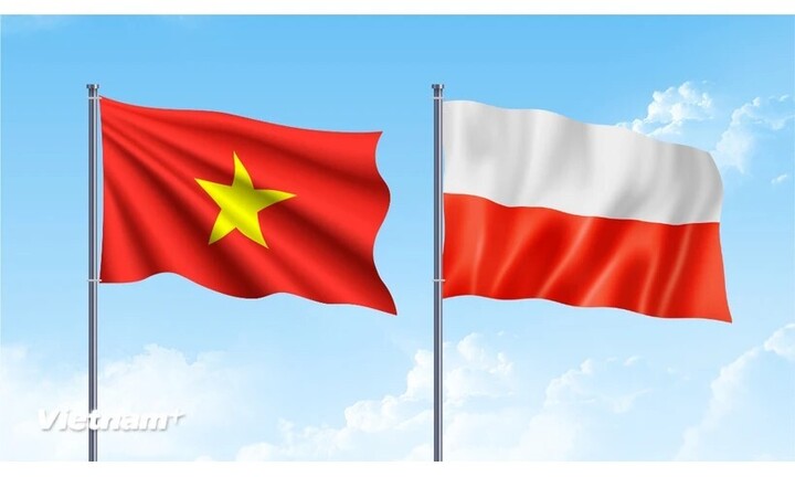 Kim ngạch thương mại Việt Nam - Ba Lan duy trì đà tăng trưởng