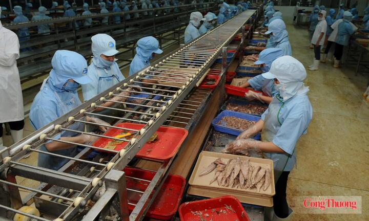 Cơ hội từ VIFTA: Thủy sản Việt sang Israel tăng mạnh