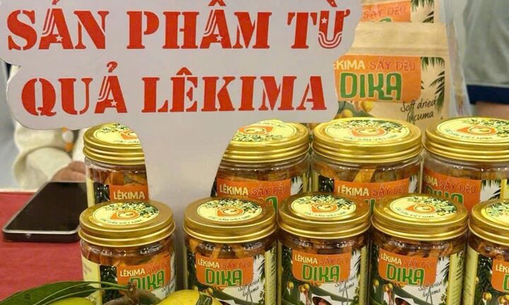Trái cây sấy Đồng bằng sông Cửu Long mở rộng thị trường xuất khẩu