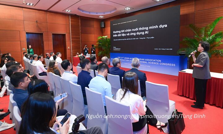 AI trong chăn nuôi: Cần giải bài toán giá thành và cân đối cung - cầu