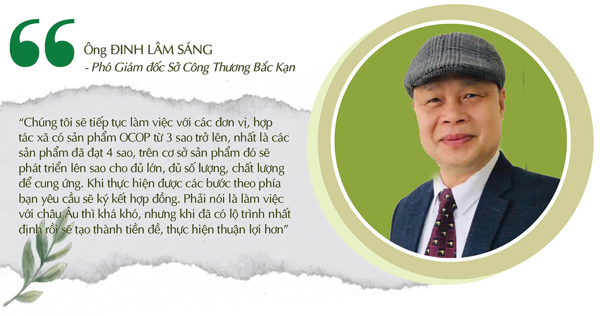 Longform | Miến dong Tài Hoan: ‘Sợi vàng’ từ núi rừng Na Rì vươn ra thế giới - 3
