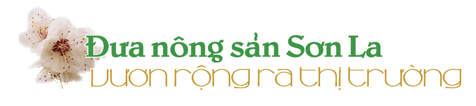 Longform | Sơn La mang 'hương vị núi rừng' về Thủ đô - 4