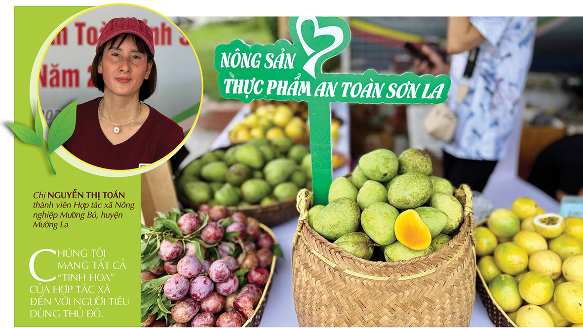 Longform | Sơn La mang 'hương vị núi rừng' về Thủ đô - 2