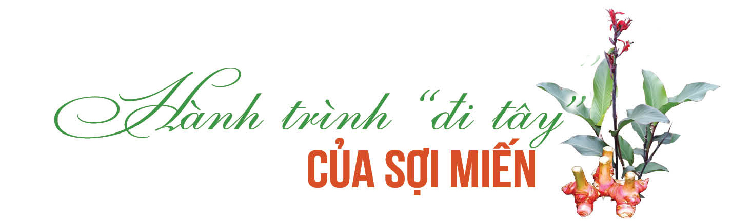 Longform | Miến dong Tài Hoan: ‘Sợi vàng’ từ núi rừng Na Rì vươn ra thế giới - 4