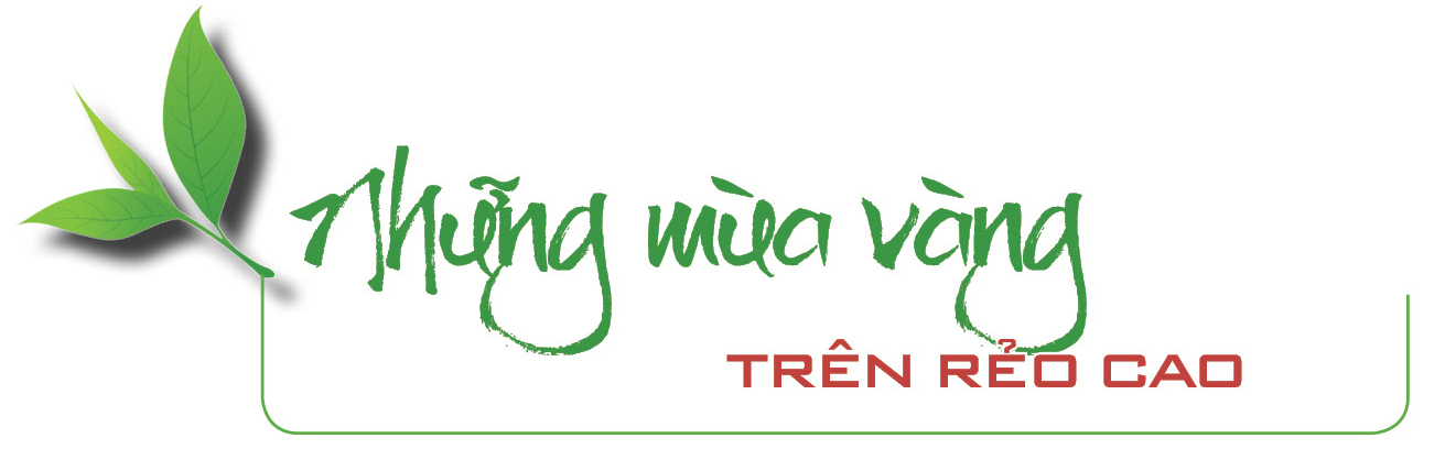 Longform | Từ rẻo cao Tây Bắc, nông sản Lai Châu vươn ra thị trường lớn - 1