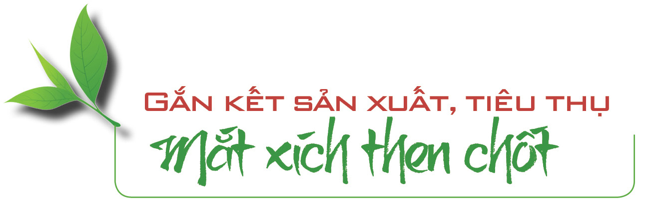 Longform | Từ rẻo cao Tây Bắc, nông sản Lai Châu vươn ra thị trường lớn - 4