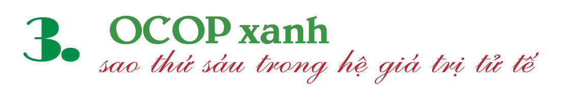 Longform | ‘Bản giao hưởng’ OCOP Bắc Giang - 7