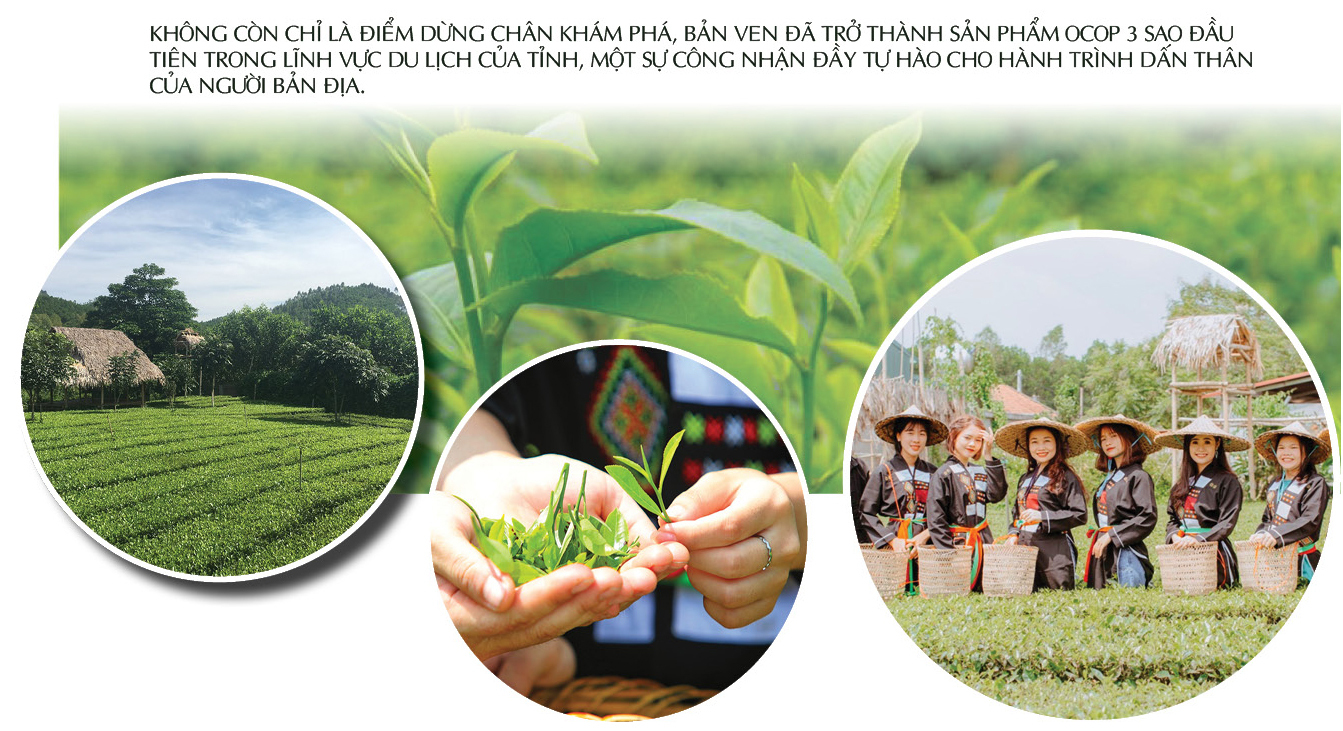 Longform | ‘Bản giao hưởng’ OCOP Bắc Giang - 6