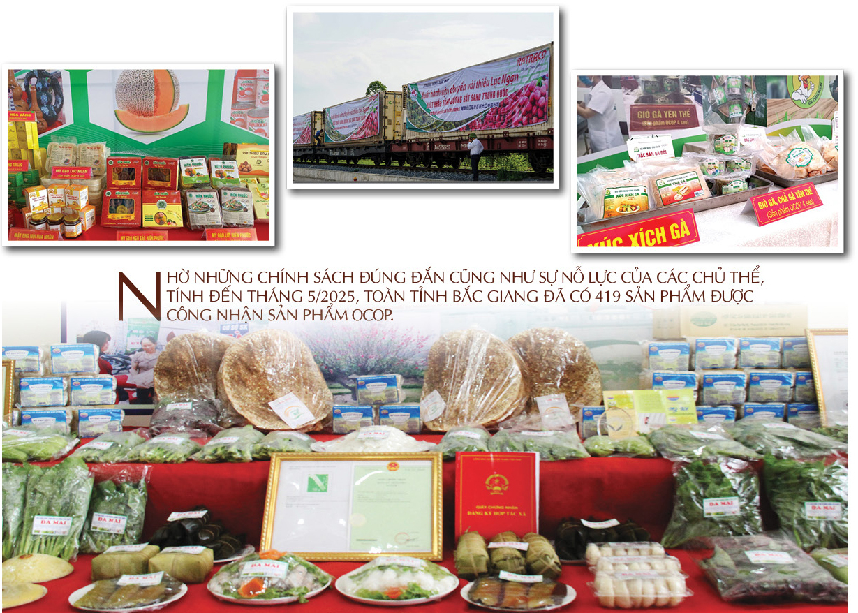 Longform | ‘Bản giao hưởng’ OCOP Bắc Giang - 8