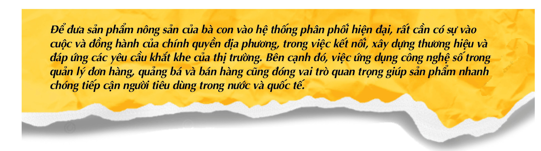 Longform | Kết nối thị trường: ‘Mở lối’ thoát nghèo cho người dân vùng cao - 8