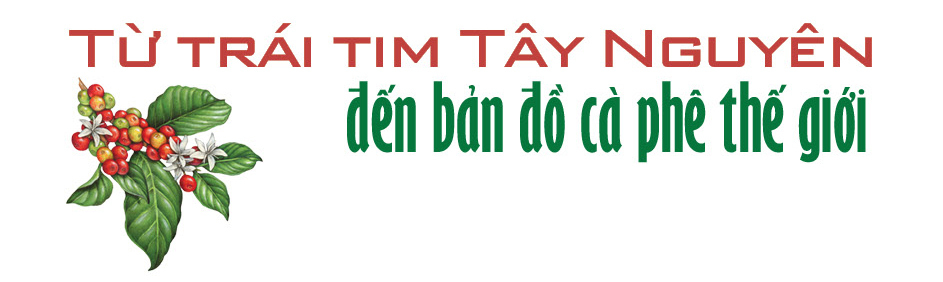 Longform | Vĩnh Hiệp và hành trình đưa hạt cà phê Gia Lai chạm đỉnh vinh quang - 1