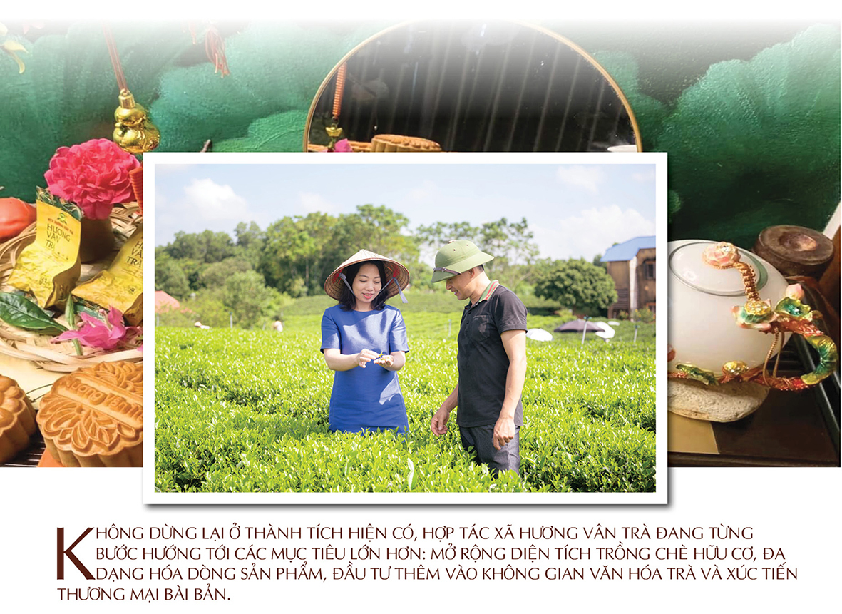 Longform | Trà thơm trên đỉnh non ngàn - 7