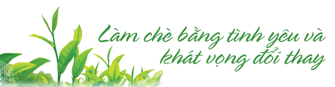 Longform | Trà thơm trên đỉnh non ngàn - 1