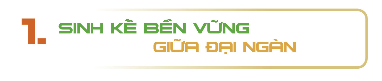 Longform | Gà đồi Yên Thế: Niềm tự hào của miền bán sơn địa - 1