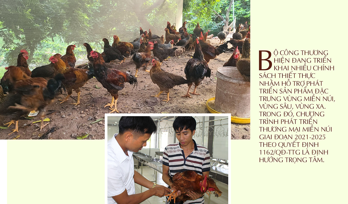 Longform | Gà đồi Yên Thế: Niềm tự hào của miền bán sơn địa - 6