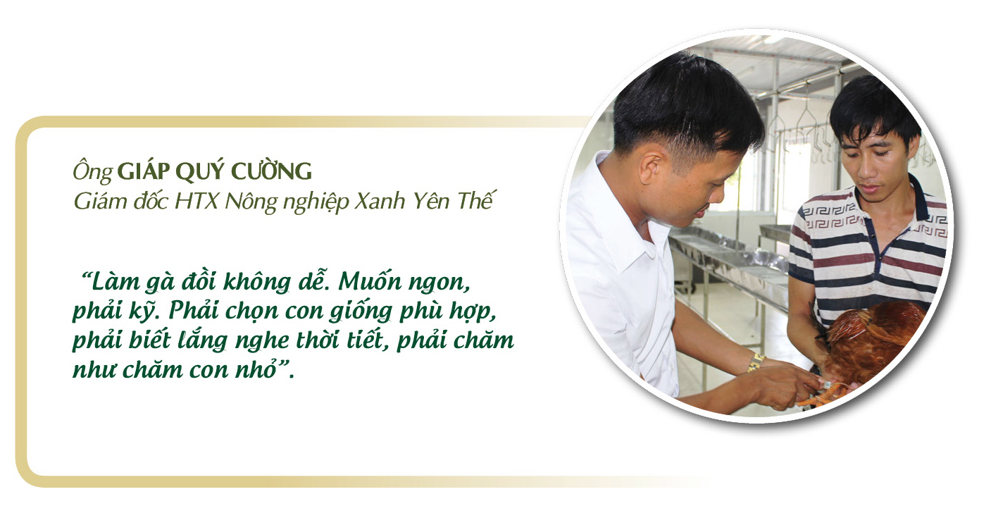 Longform | Gà đồi Yên Thế: Niềm tự hào của miền bán sơn địa - 3