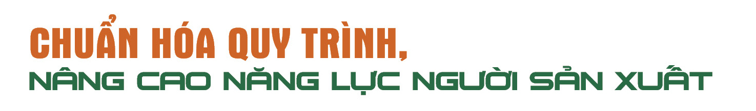 Longfom | Định vị thương hiệu sản phẩm vùng đồng bào dân tộc thiểu số: Bài 2 - 1
