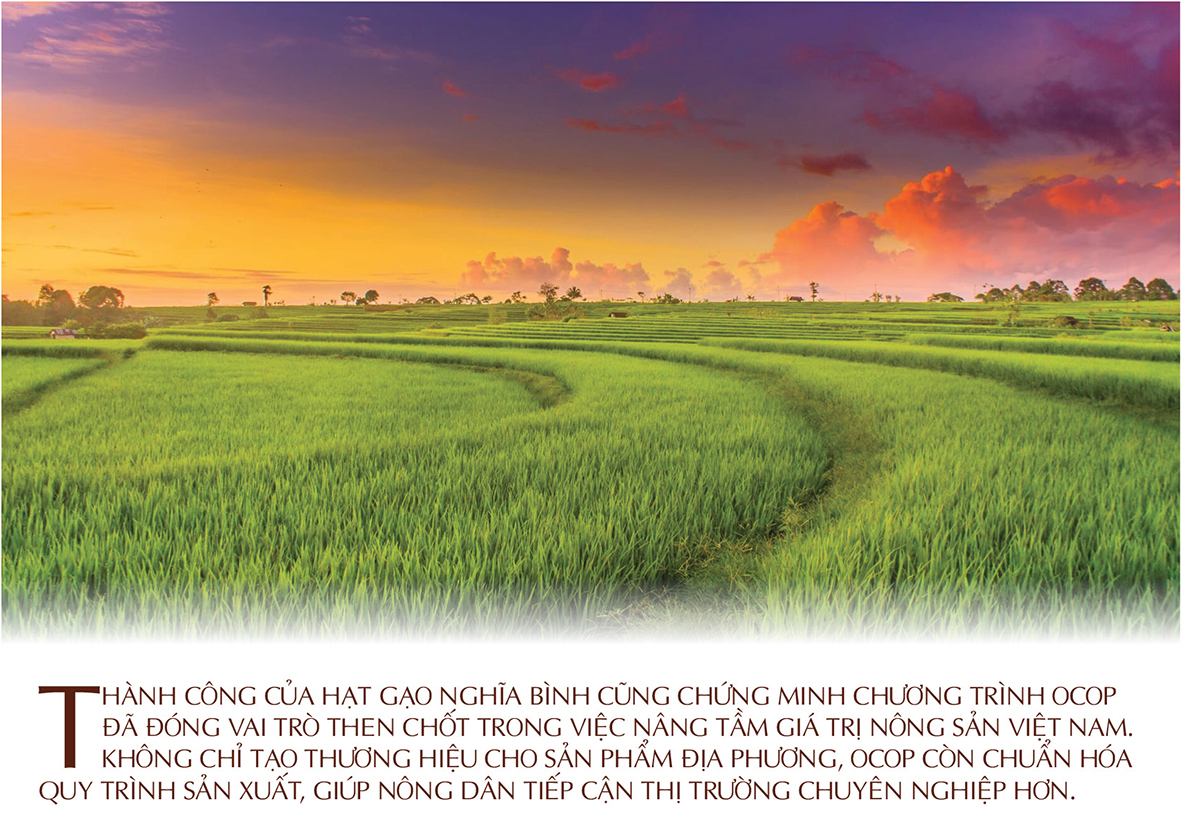 Longform | Hành trình nâng tầm hạt nếp Nghĩa Bình - 8