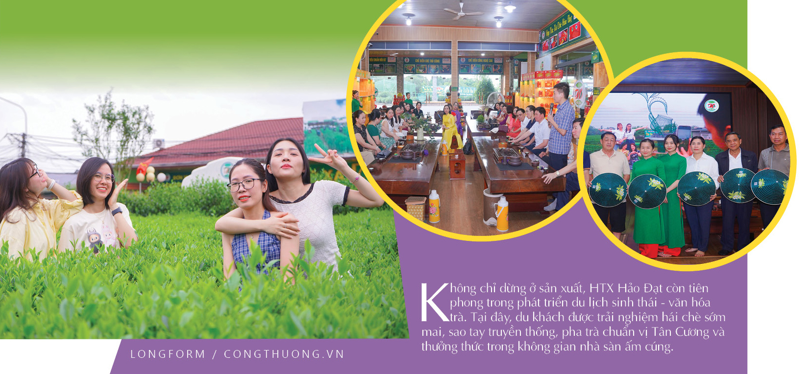 Longform | Tân Cương: “Đệ nhất danh trà” và niềm tự hào OCOP 5 sao Hảo Đạt - 8