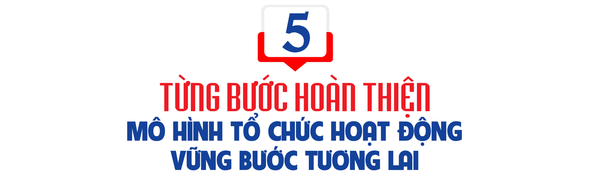 Dấu ấn chuyển mình của NSMO: Một năm thử thách và thành tựu - 14