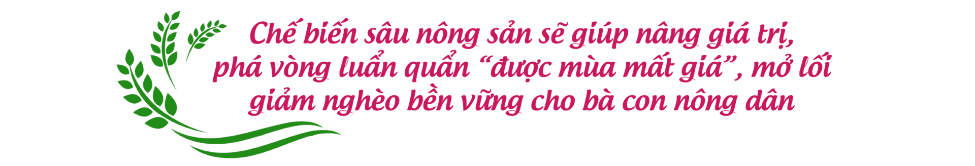 Longform | Nông sản 'khoác áo mới' để đi xa - 1
