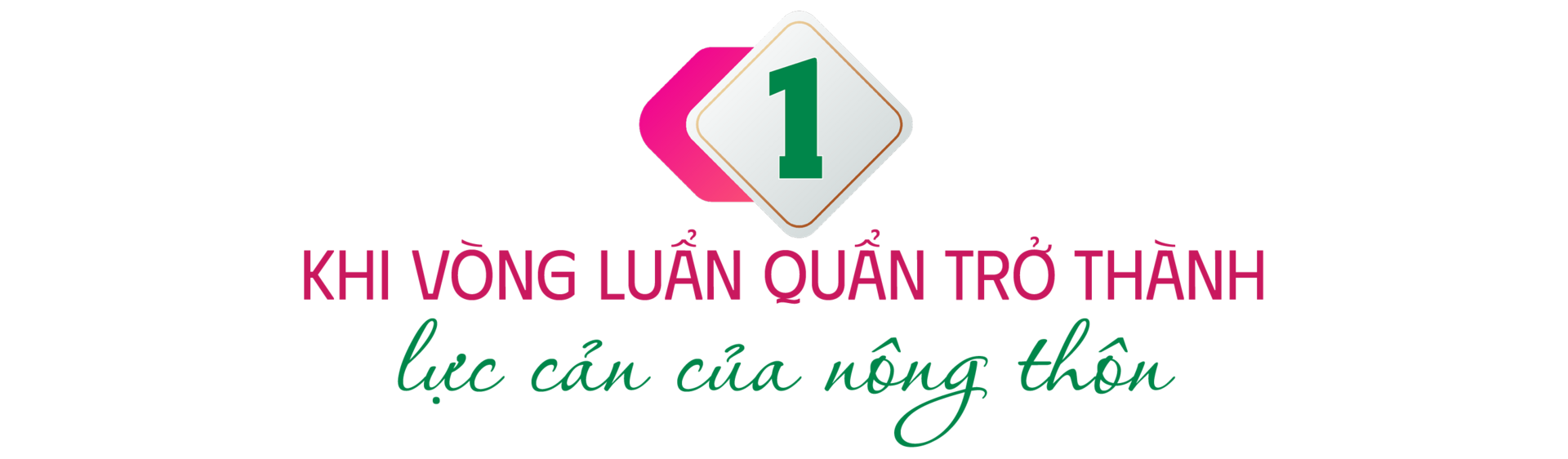 Longform | Nông sản 'khoác áo mới' để đi xa - 2