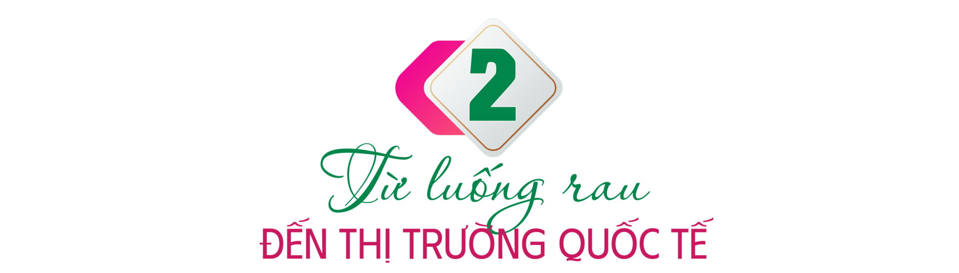 Longform | Nông sản 'khoác áo mới' để đi xa - 4