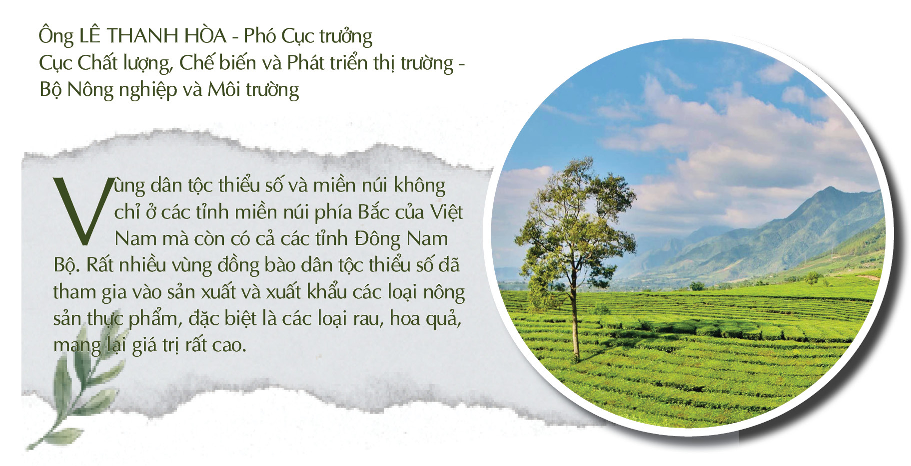 Longform | Nông sản vùng dân tộc thiểu số vươn mình ra thế giới - 4