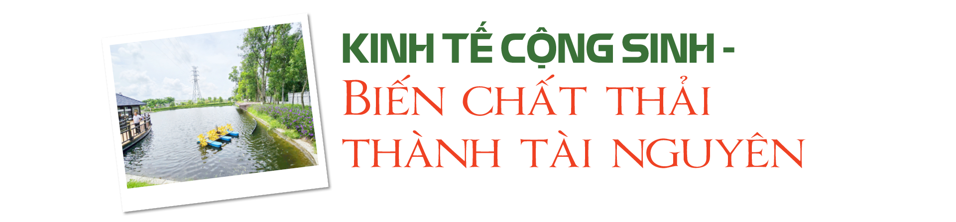 Khu công nghiệp sinh thái Nam Cầu Kiền: Nơi chất thải thành tài nguyên - 5