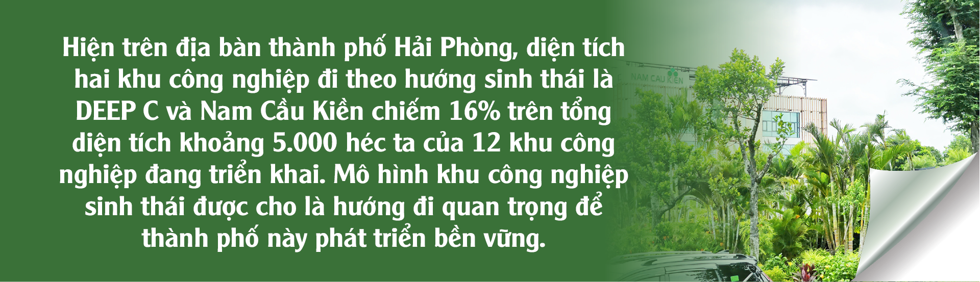 Khu công nghiệp sinh thái Nam Cầu Kiền: Nơi chất thải thành tài nguyên - 16