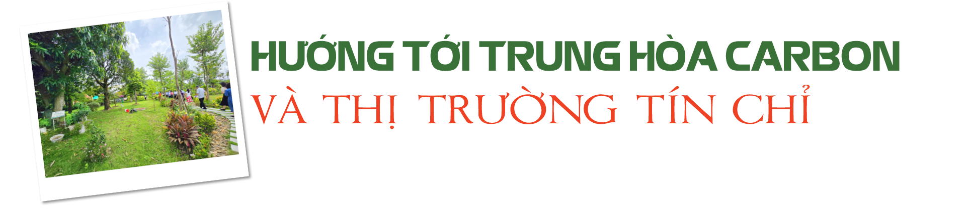 Khu công nghiệp sinh thái Nam Cầu Kiền: Nơi chất thải thành tài nguyên - 8