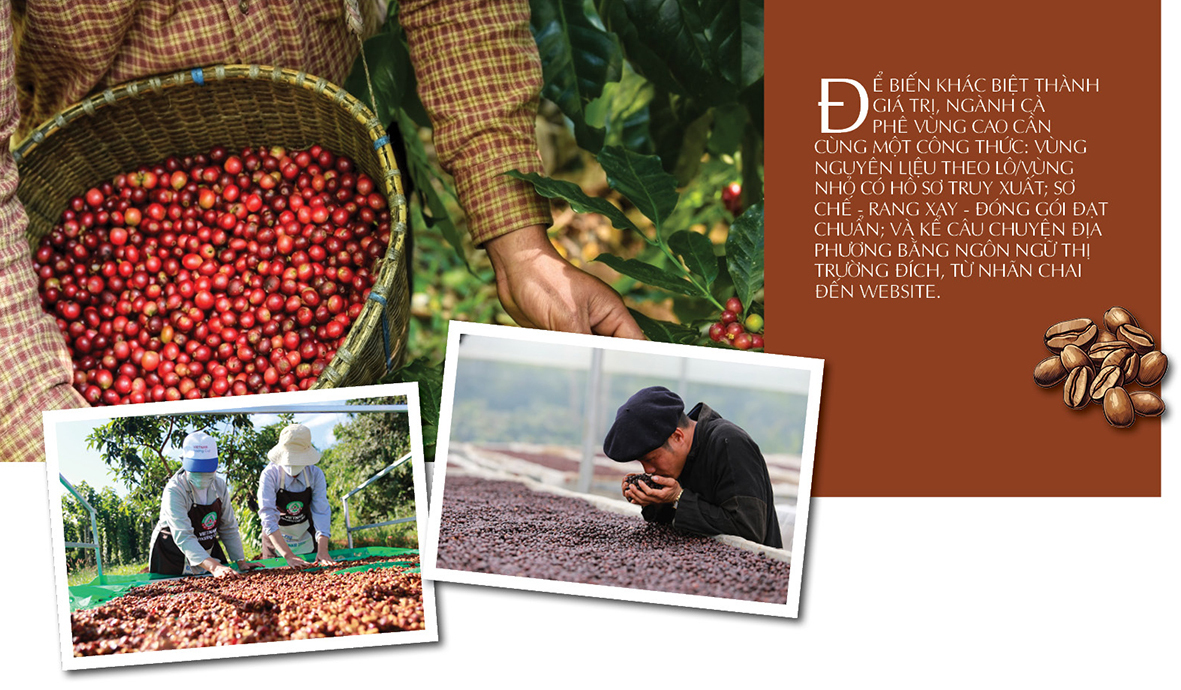 Longform | Nông sản vùng dân tộc: Khẳng định bản sắc, chinh phục thị trường toàn cầu: Bài 1 - 5