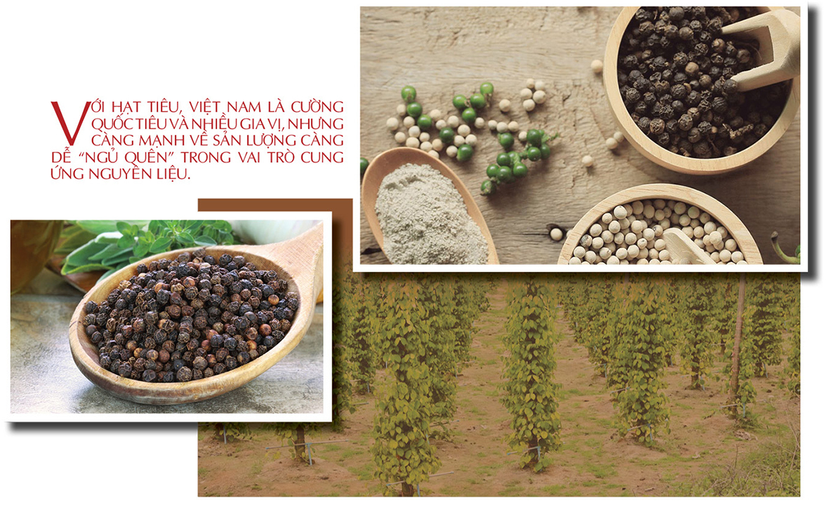 Longform | Nông sản vùng dân tộc: Khẳng định bản sắc, chinh phục thị trường toàn cầu: Bài 1 - 6