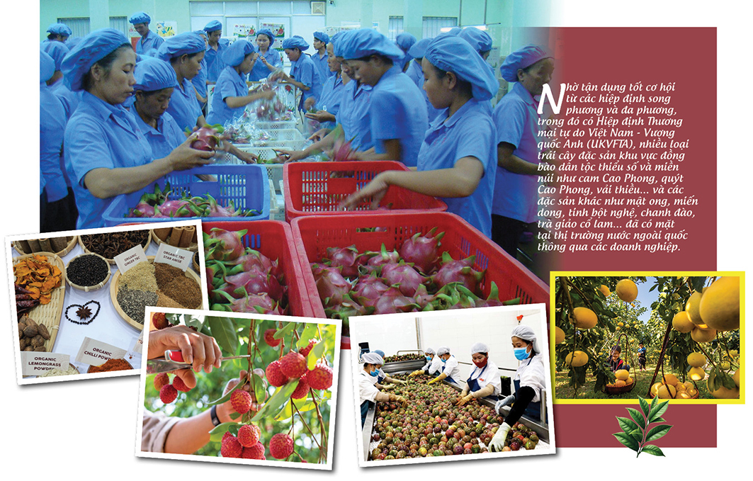 Longform | Nông sản vùng dân tộc: Khẳng định bản sắc, chinh phục thị trường toàn cầu: Bài 2 - 9
