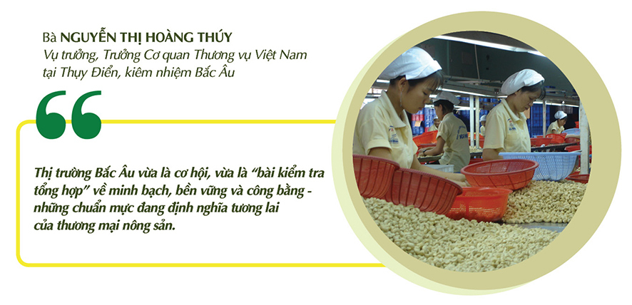 Longform | Nông sản vùng dân tộc: Khẳng định bản sắc, chinh phục thị trường toàn cầu: Bài 2 - 2