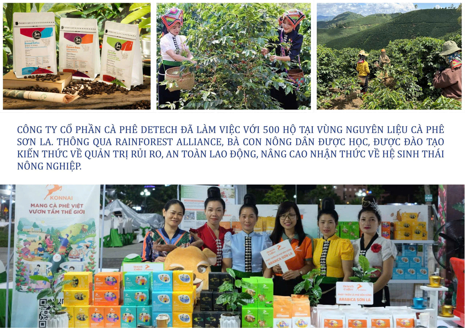 Longform | ‘Xanh hoá’ sản xuất, nông sản vùng dân tộc chinh phục thị trường - 3