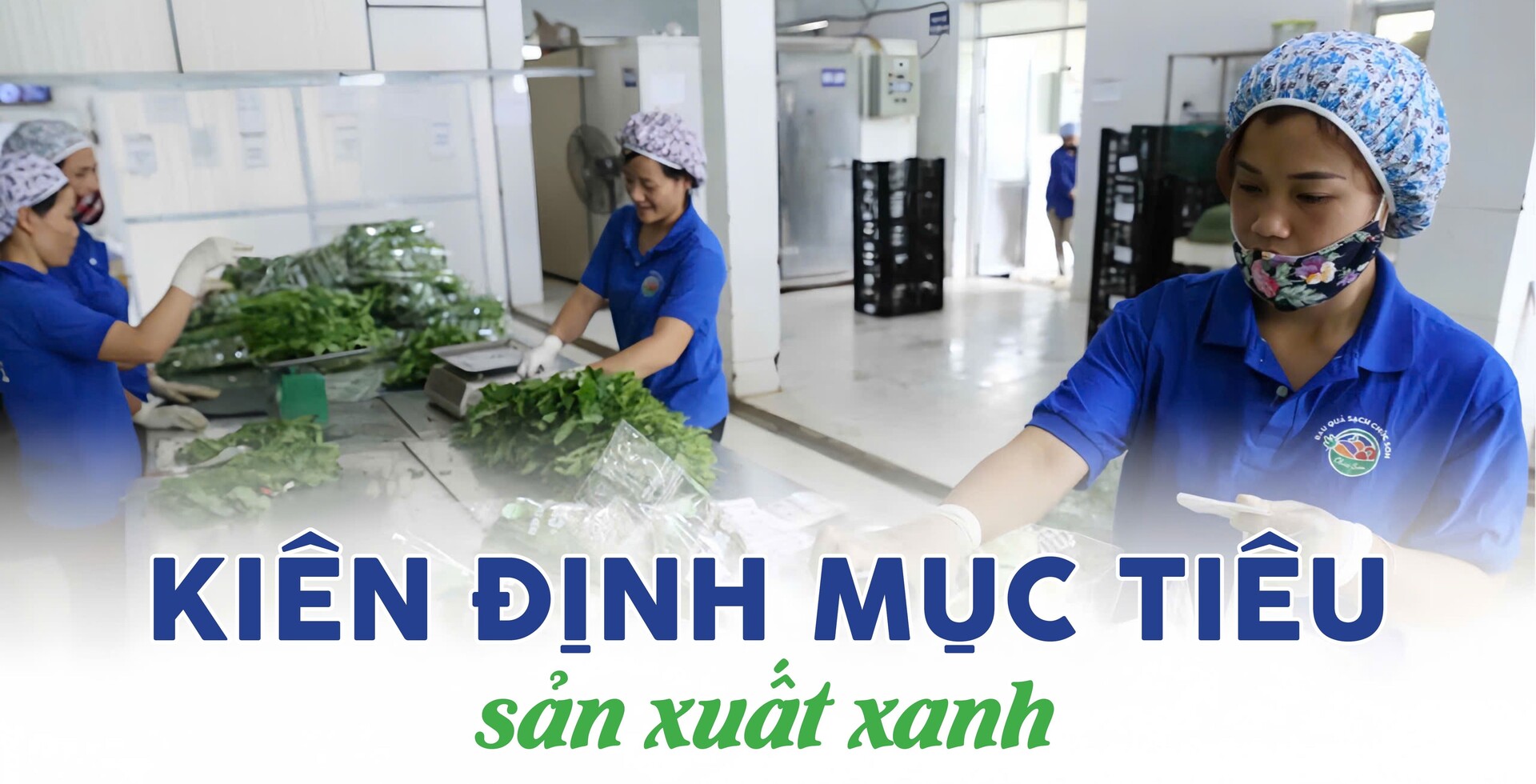 Longform | ‘Xanh hoá’ sản xuất, nông sản vùng dân tộc chinh phục thị trường - 1