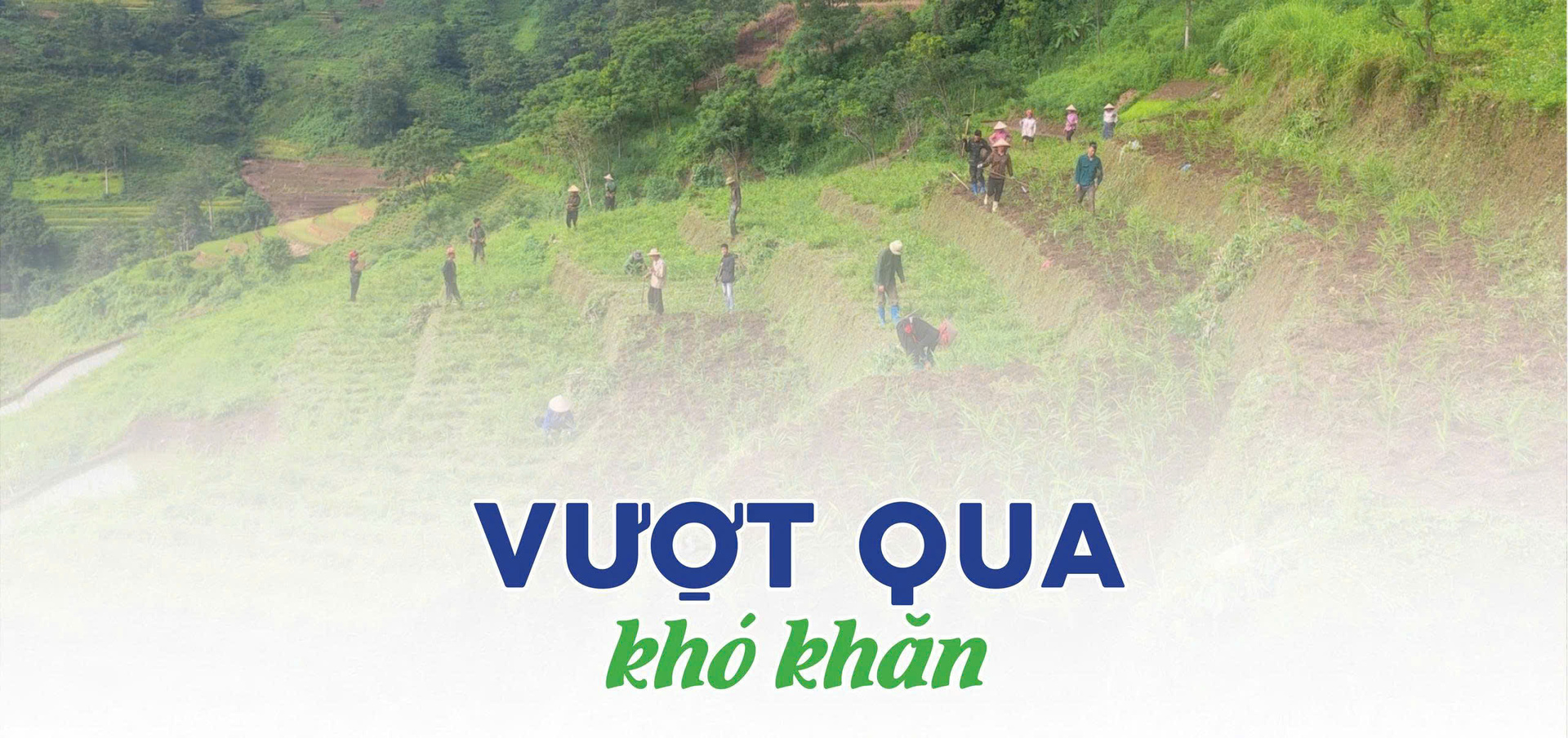 Longform | ‘Xanh hoá’ sản xuất, nông sản vùng dân tộc chinh phục thị trường - 4