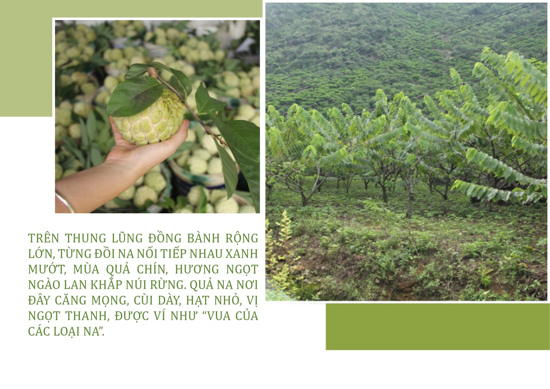 Longform | Na Chi Lăng: Khát vọng vươn xa từ thung lũng chiến công - 2