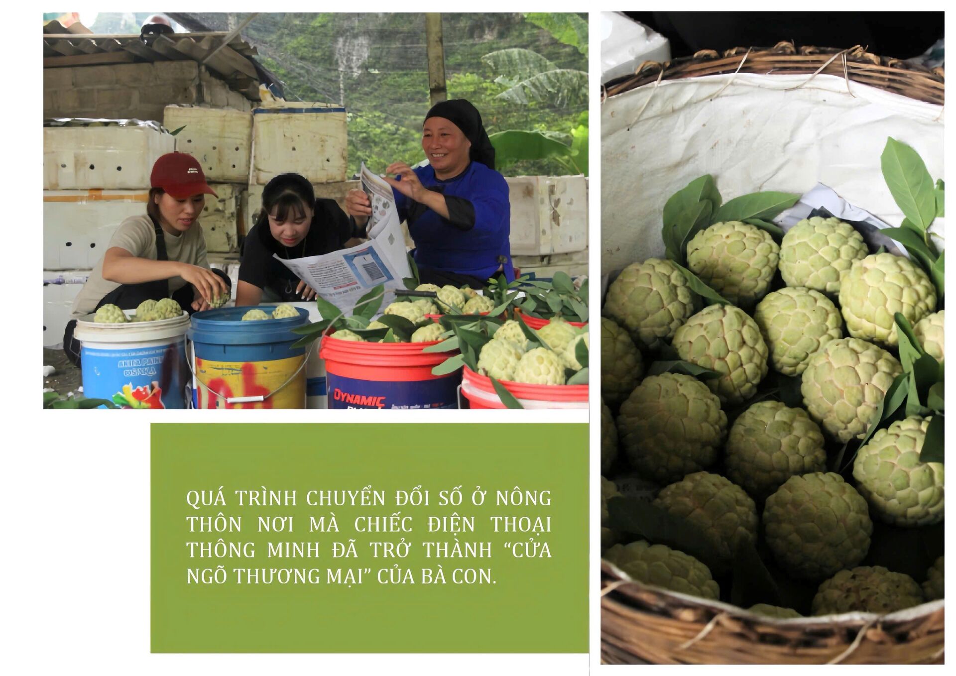 Longform | Na Chi Lăng: Khát vọng vươn xa từ thung lũng chiến công - 6