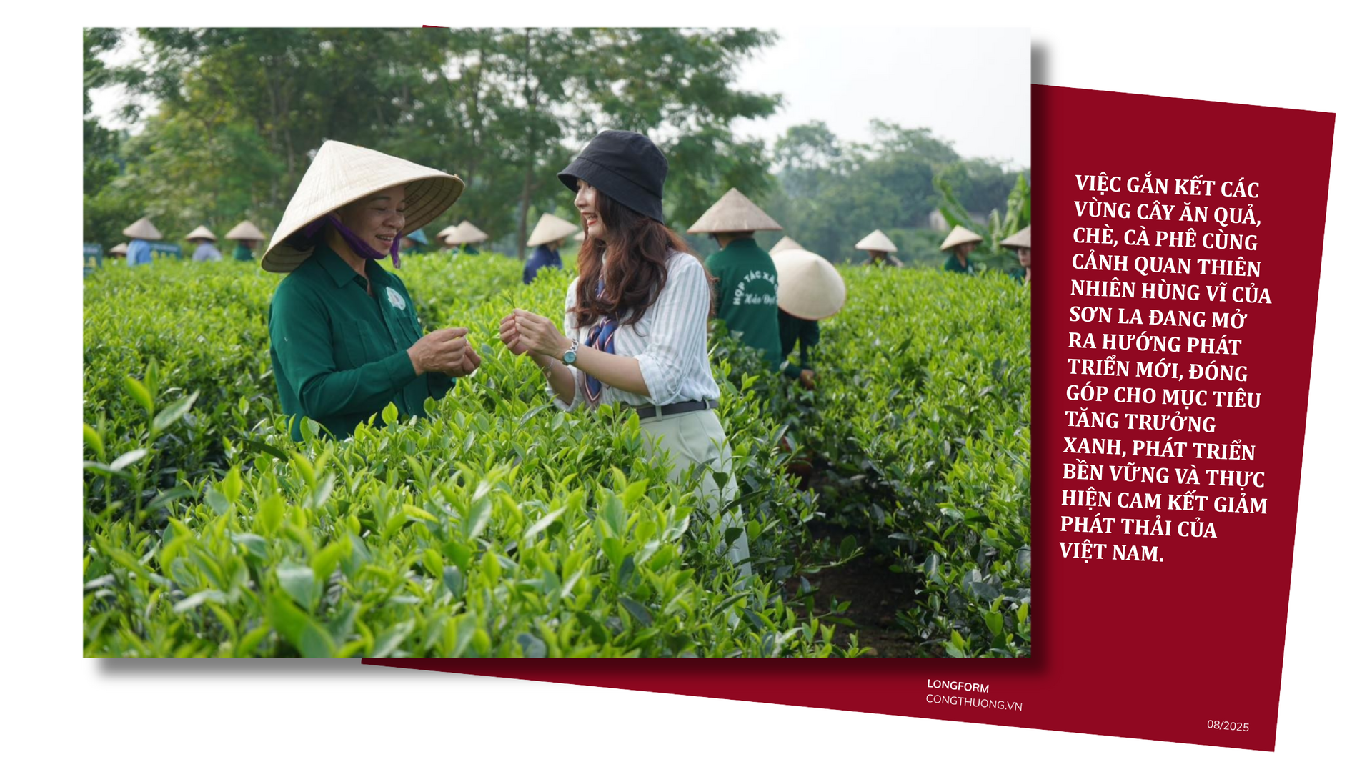 Longform | Du lịch nông nghiệp: Cơ hội vàng giúp đồng bào dân tộc thiểu số thoát nghèo bền vững - 3