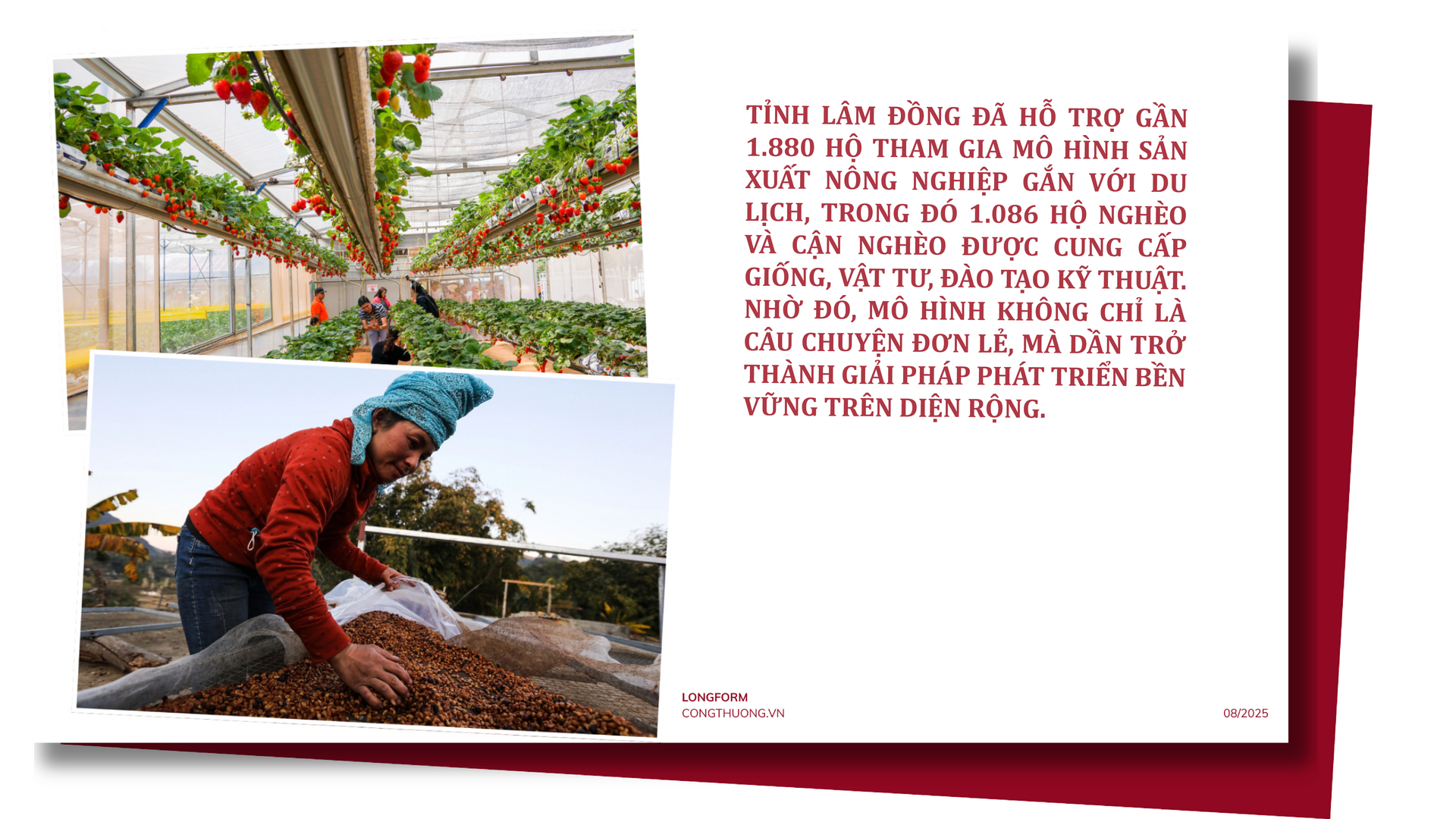 Longform | Du lịch nông nghiệp: Cơ hội vàng giúp đồng bào dân tộc thiểu số thoát nghèo bền vững - 6